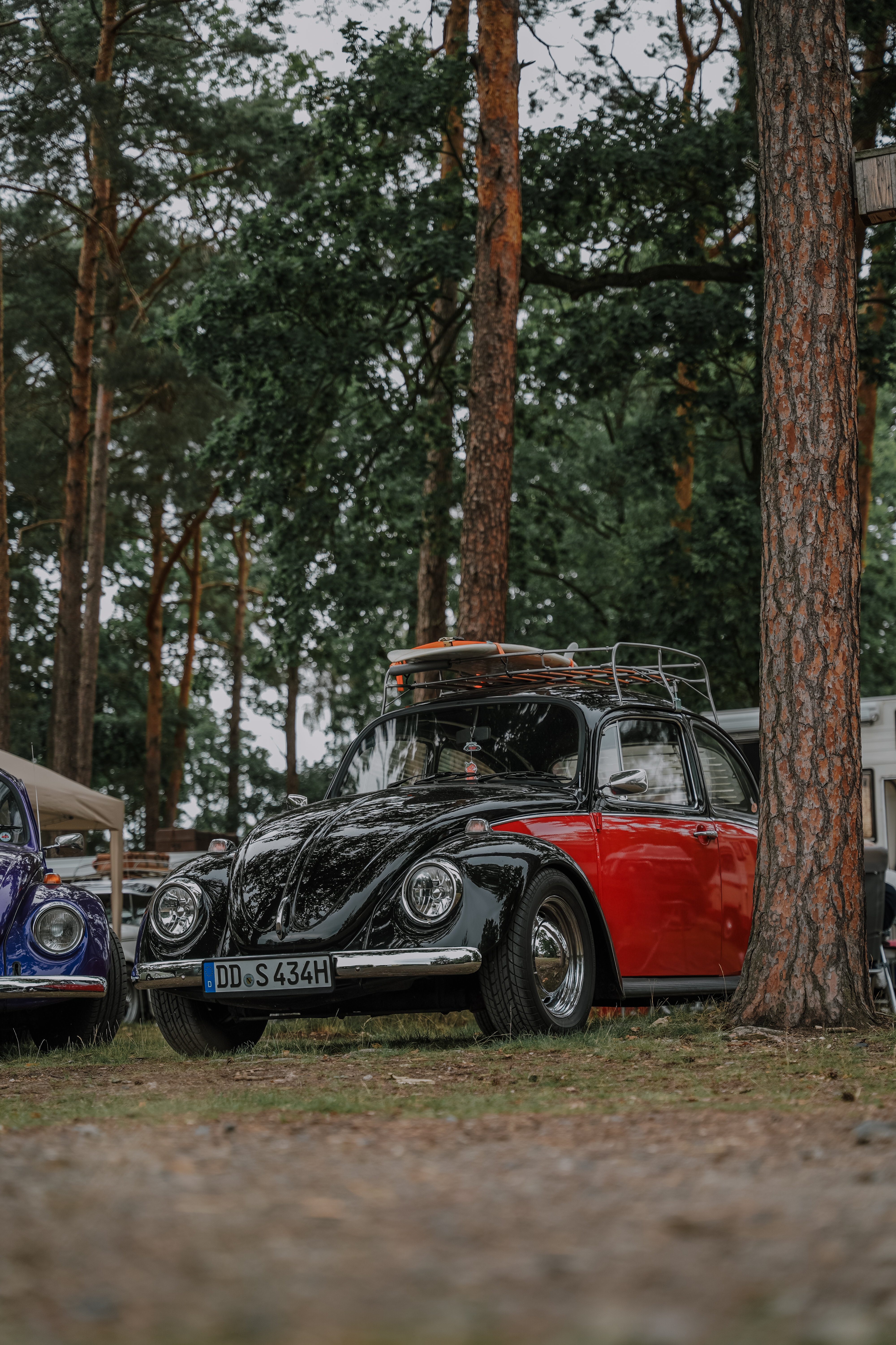 Käfercamping Bild 25